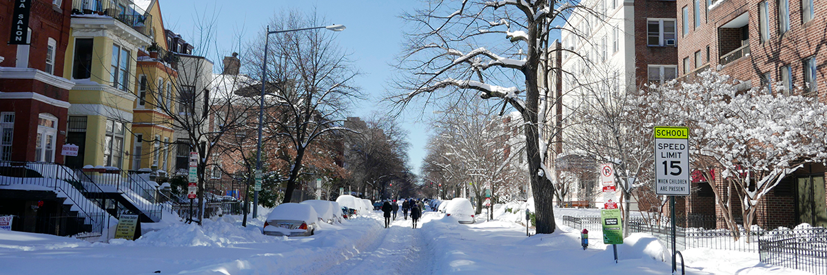 Realistic image of a tree lined residential street in autumn with cars parked on either side of the road.